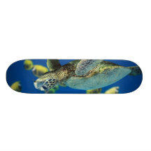Green Sea Turtle Custom Skate Board