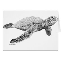 Green Sea Turtle Greeting Card