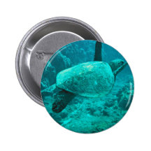Green Sea Turtle Pin