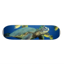 Green Sea Turtle Skateboard