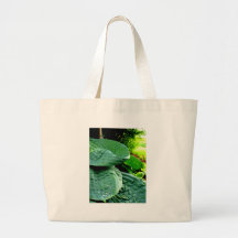 Green Steps Bag