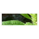 Green Thumb Business Card