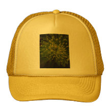 Green Tinge Chrisanthemum Mesh Hat