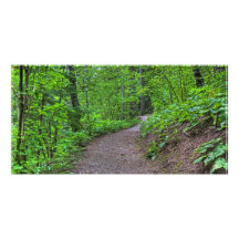 Green Trail Custom Photo Card