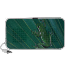 Green Tree Frog Doodle Speaker System