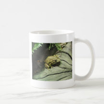 Green Tree Frog T-Shirts and Gifts! Mugs