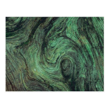 Green Tree Postcard