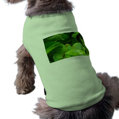 green tree python snake dog tee shirt - Zazzle.com.au