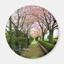 Green Walk Refrigerator Magnet