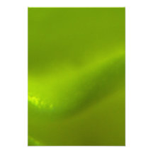 Green Wave Dream Announcement