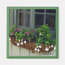 " Green Window White Fuchsias" Magnet