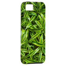 Greenery leaves