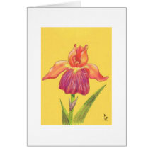 greetcard10