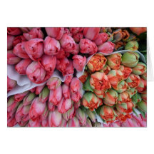 GREETING CARD Beautiful Tulips in France
