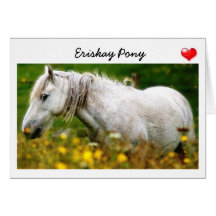 Greeting Card - Eriskay Pony in the flowers