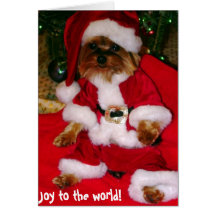 Greeting Cards
