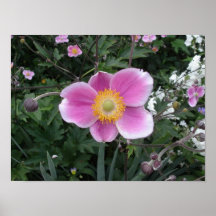 Greeting Posters