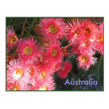 Greetings from Australia Postcards