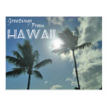 Greetings From Hawaii - Palm Trees Post Cards