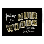 Greetings from Muir Woods National Monument Greeting Card