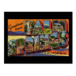 Greetings from Palm Springs California Post Cards