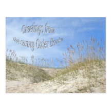 Greetings From Sunny OBX Sea Oats Items Postcard