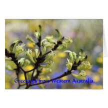 Greetings from Western Australia Card
