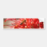 Grevilla with Bee Bumper Sticker