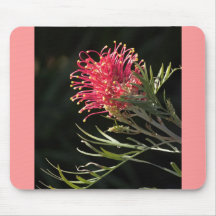 Grevillea "Silvia" Mouse Pad