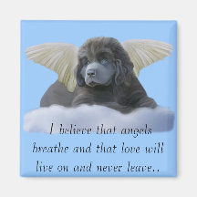 Grey Angel ~ I Believe Magnet