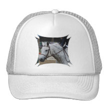 Grey Appaloosa Horse Baseball Hat