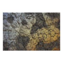 Grey brown texture photographic print