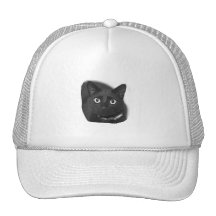 Grey Cat Big Eyes BW Picture Hat