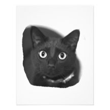Grey Cat Big Eyes BW Picture Personalized Invite