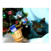Grey Christmas Kitty V Postcard