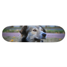 Grey dog skate board decks