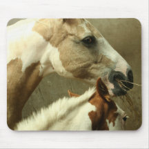 Grey Eventing Horse Mouse Pad
