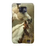 Grey Eventing Horse Phone Case Samsung Galaxy S2 Cover
