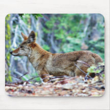 Grey Fox Mouse Mat