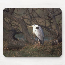 Grey Heron mousepads