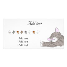 Grey kitten which dozes custom photo card