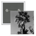 Grey Palm Tree Pinback Buttons