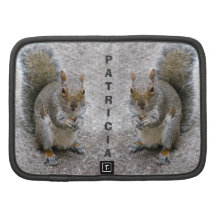 Grey Squirrel Planner/Organiser Case