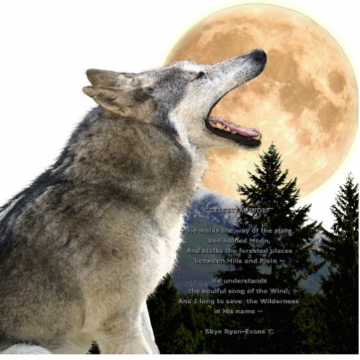 GREY WOLF & MOON (sculpted) Wildlife Magnet Photo Cutouts