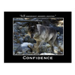 Grey Wolf Motivational Postcards