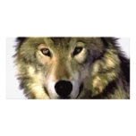 Grey Wolf Photo Card Template