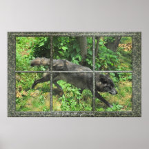 Grey Wolf Through A Window Art Poster