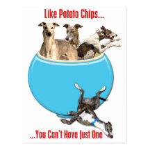 Greyhounds Like Potato Chips Post Card