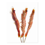 Grilled tiger prawn on a skewer postcard