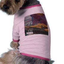 Grilling Salmon Grills Doggie Tee Shirt